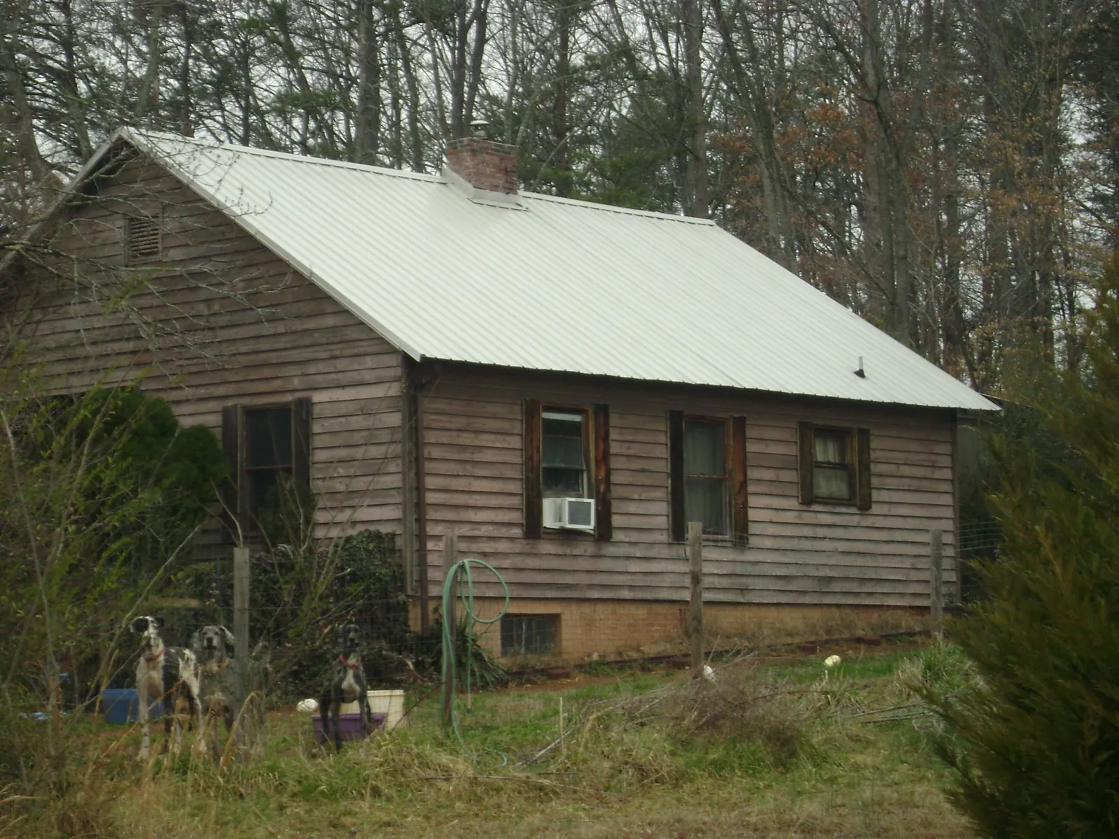 White metal roof on an old wood sided farmhouse, from a Asphalt Shingle Roof Repair job in Shaniko